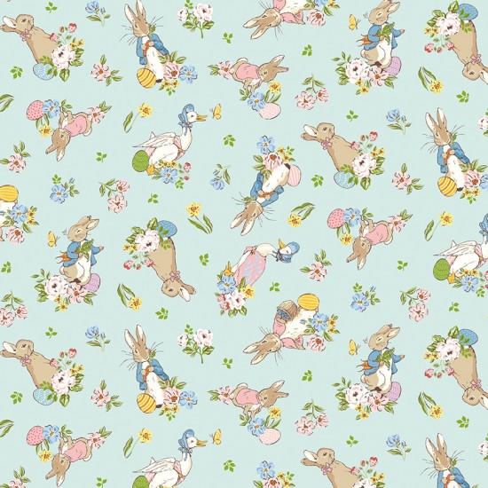 Peter Rabbit Spring